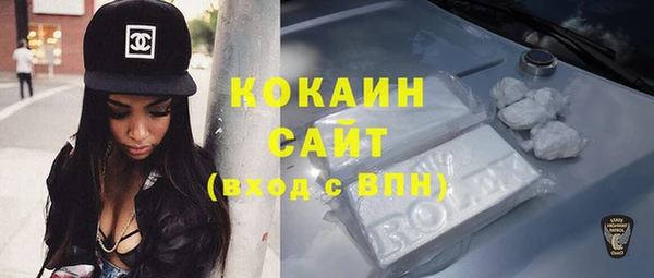 прущие грибы Нягань
