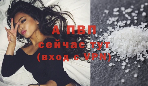 прущие грибы Нягань