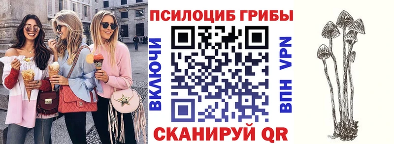 купить наркотик  Петровск  Галлюциногенные грибы GOLDEN TEACHER 