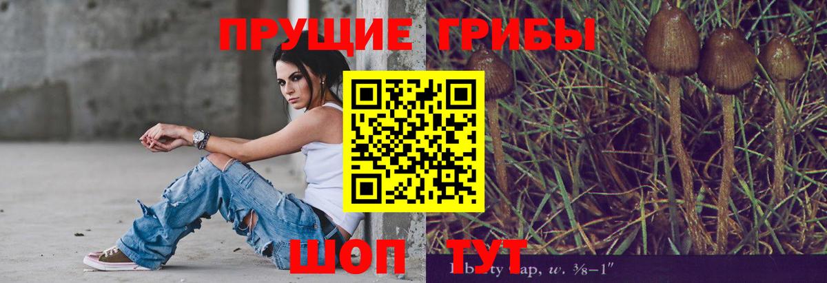 МЕФ Петровск
